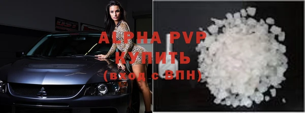 крисы Белокуриха