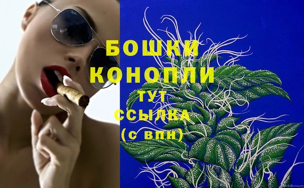 крисы Белокуриха