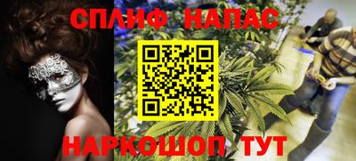 дживик Берёзовский