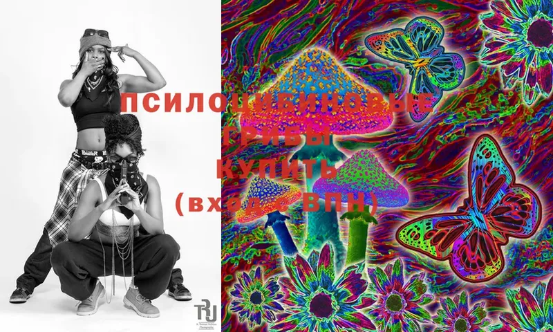 площадка официальный сайт  Бутурлиновка  Псилоцибиновые грибы MAGIC MUSHROOMS 