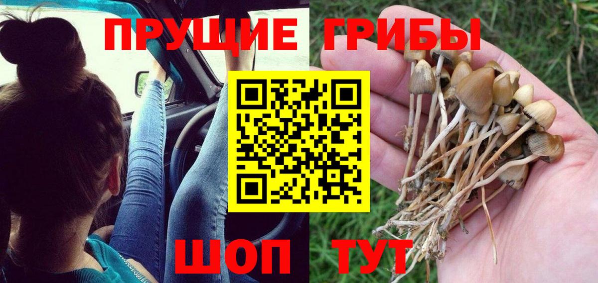 Псилоцибиновые грибы мухоморы Бутурлиновка